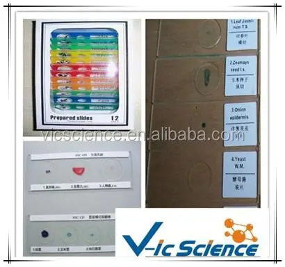 prepared slides sample.jpg