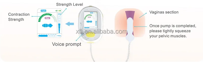 Iso13485 Manufacturer Postpartum Pelvic Floor Rehabilitation Products Buy Pelvic Floor Rehabilitation Postpartum Rehabilitation Exercises For