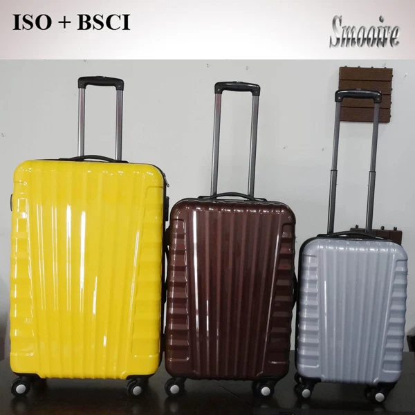 skyway luggage sets