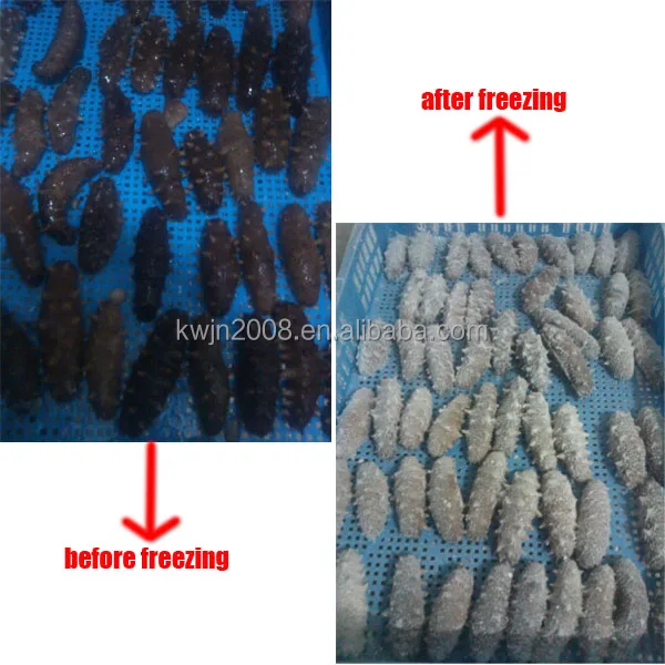 1000kg capacity, -150C iqf freezer,instant freezer, blast chiller