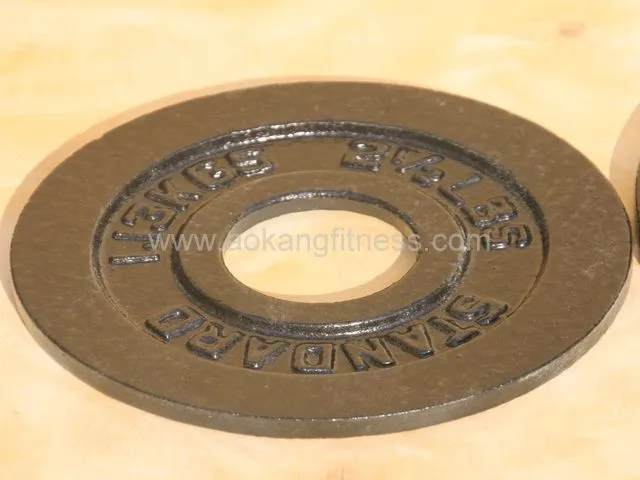 Cast Iron Weight Lifting Plates