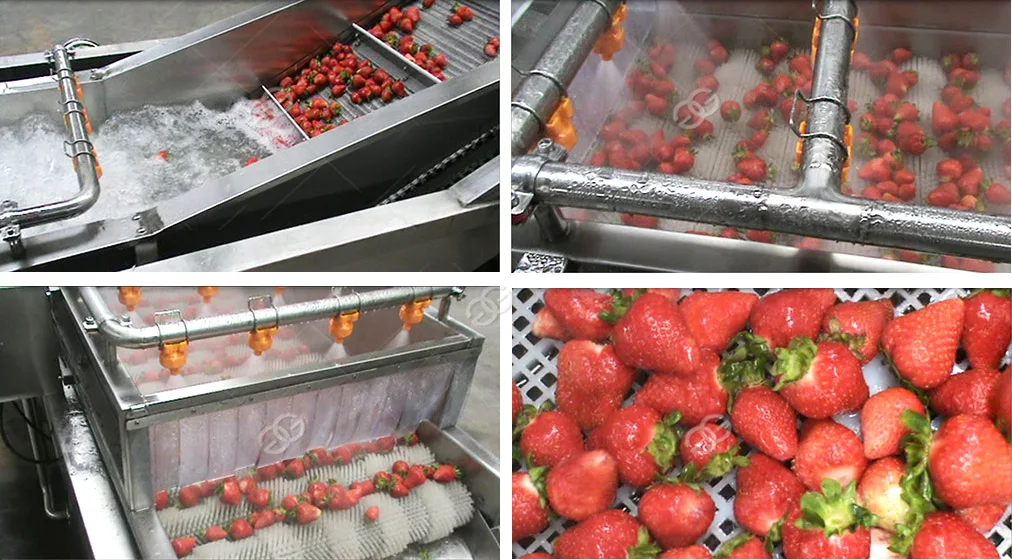 Commercial Ozone Vegetable Washer