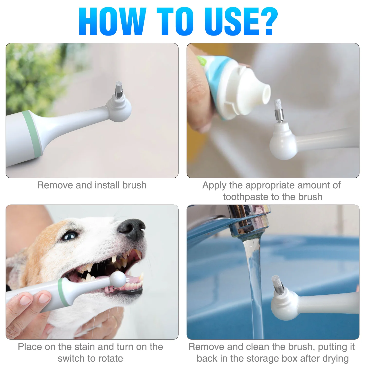 Electrical pet dog dental stain remover eraser plaque remover tooth whitening polisher