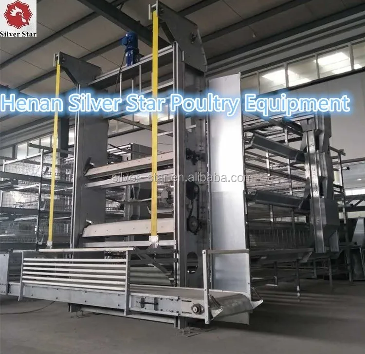 chicken harvesting 2