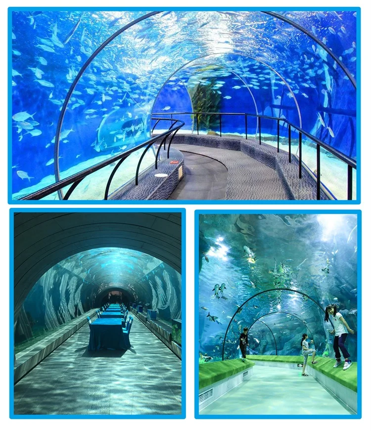 Large Clear Plastic Acrylic Tunnel For Aquarium Project - Buy Aquarium ...