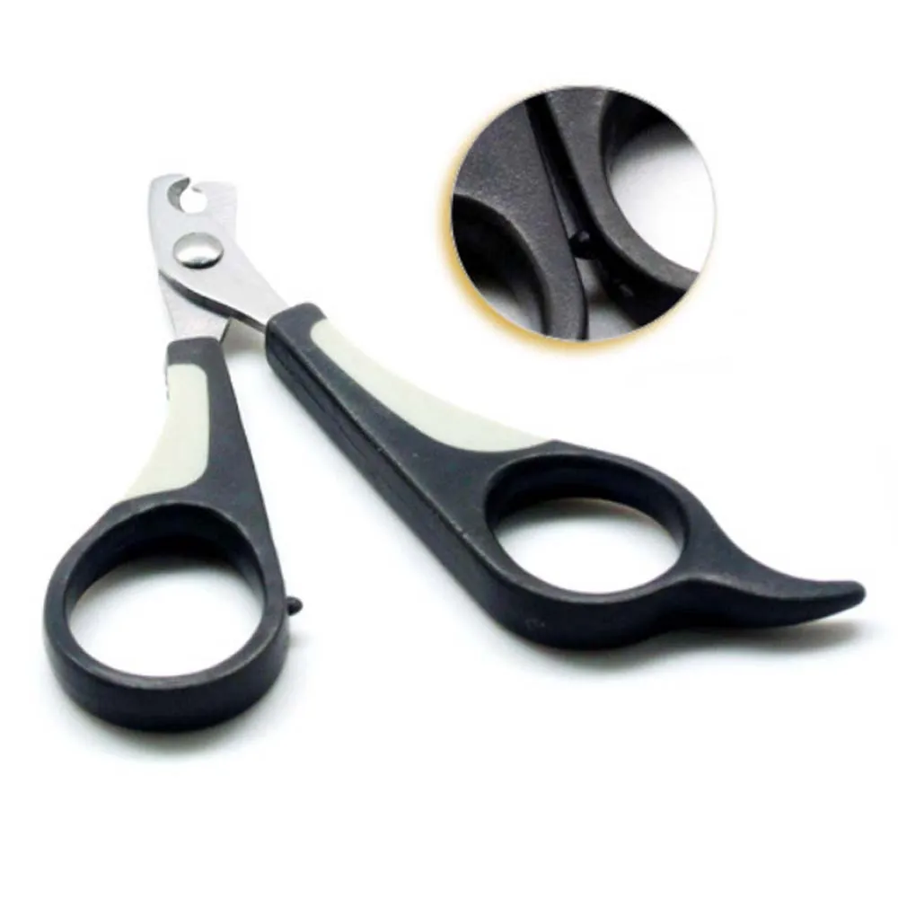 zj-pnc-1k-01 (4).jpg