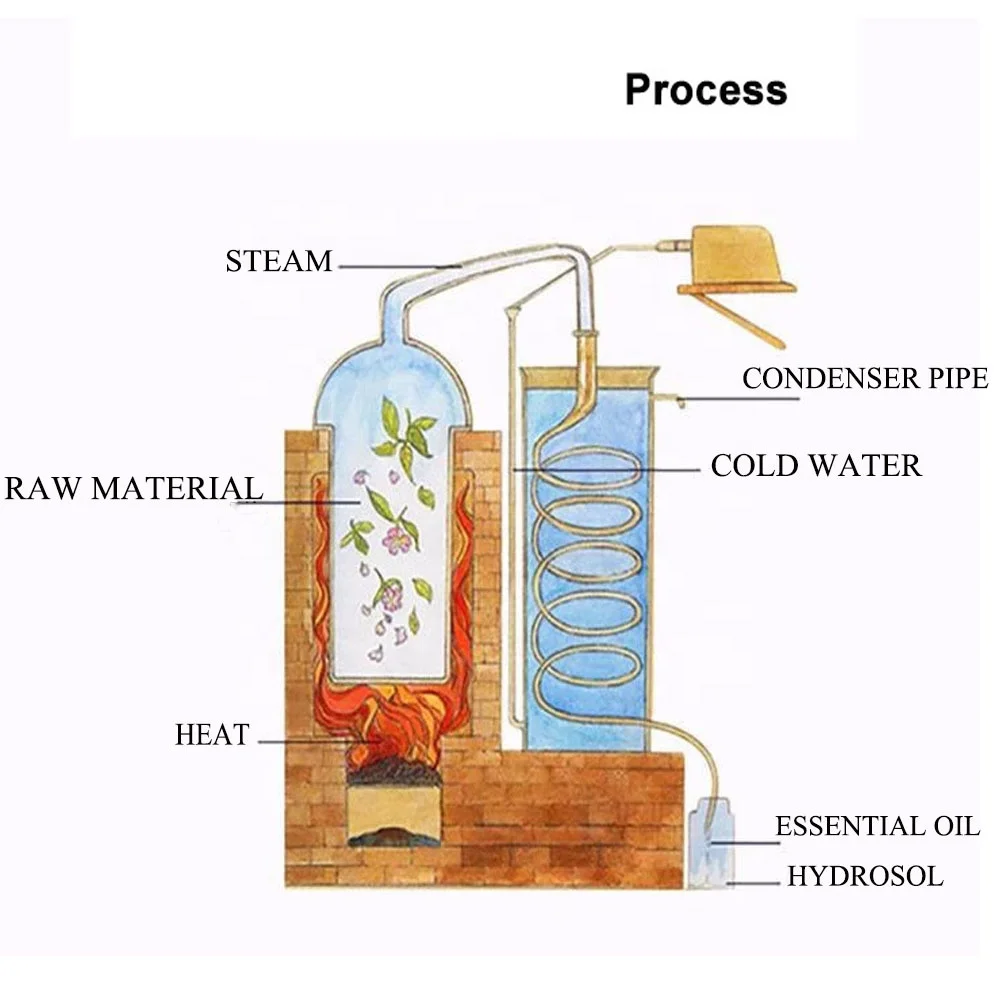 6 packs aromatherapy essential oils private label