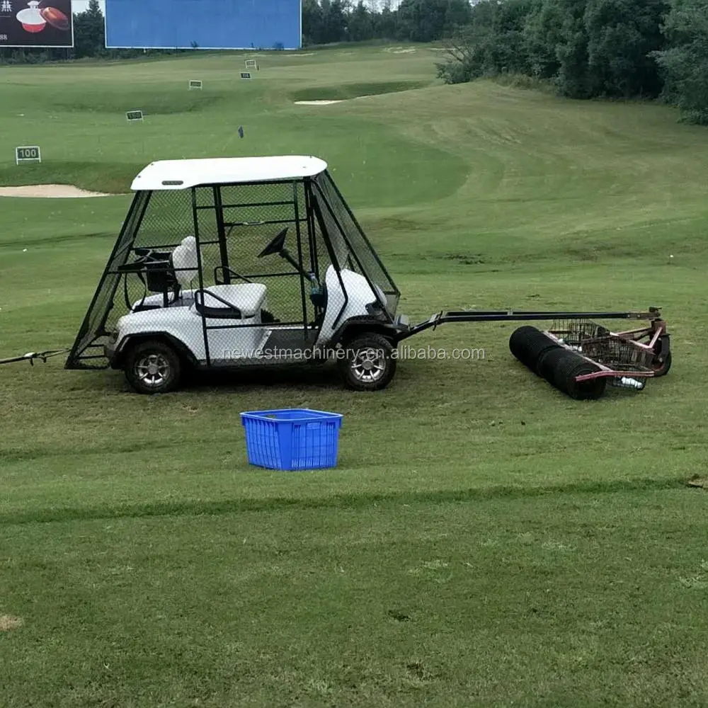 Ce Certificated 2 Seater Electric Car/custom Golf Cart/approved Golf