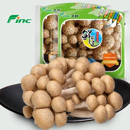 
fresh bottle planting shimeji beech mushroom 