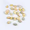 Wholesale natural tooth small shell lovely shell for handicrafts jewelry accessories
