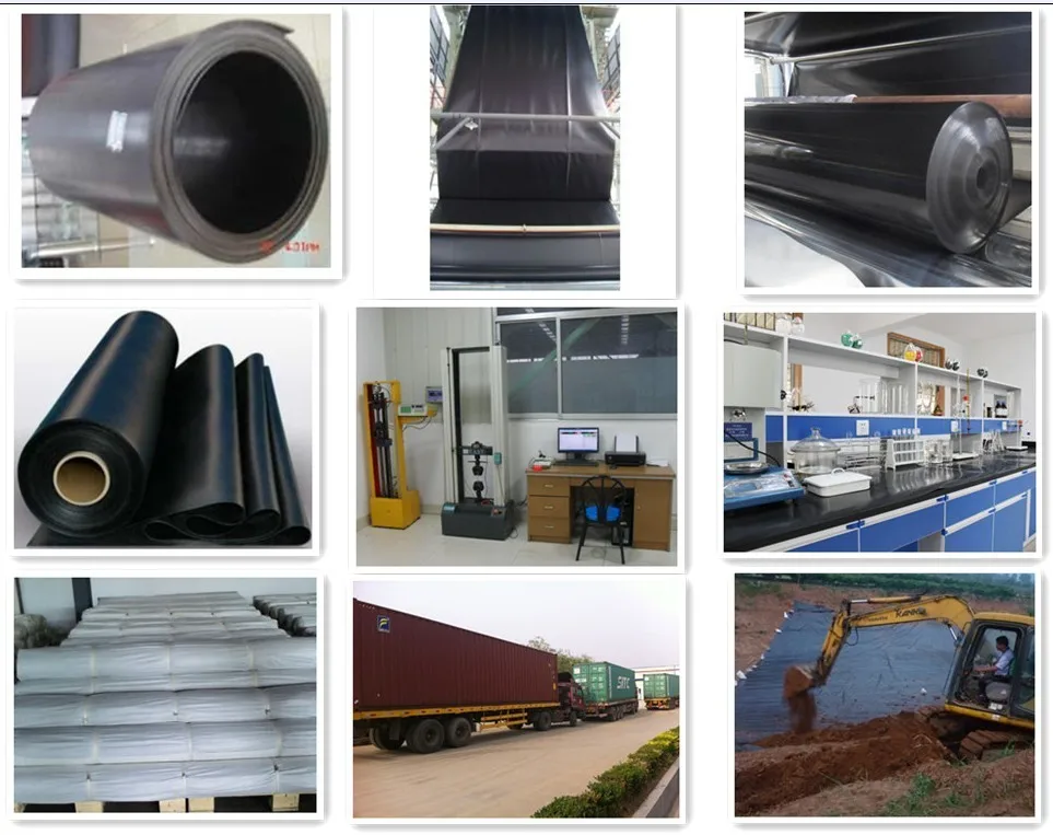 Geomembrane