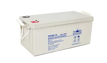 Power Kingdom High-quality cyclon sealed rechargeable battery Supply solor system-8