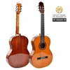 OX Bone saddle with solid cedartop no brand classical guitar accept oem HF610S39