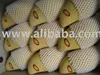 Golden Namdokmai Mango