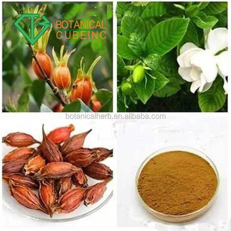 Pure Gardenia Jasminoides Extract,Gardenia Jasminoides Fruit Extract