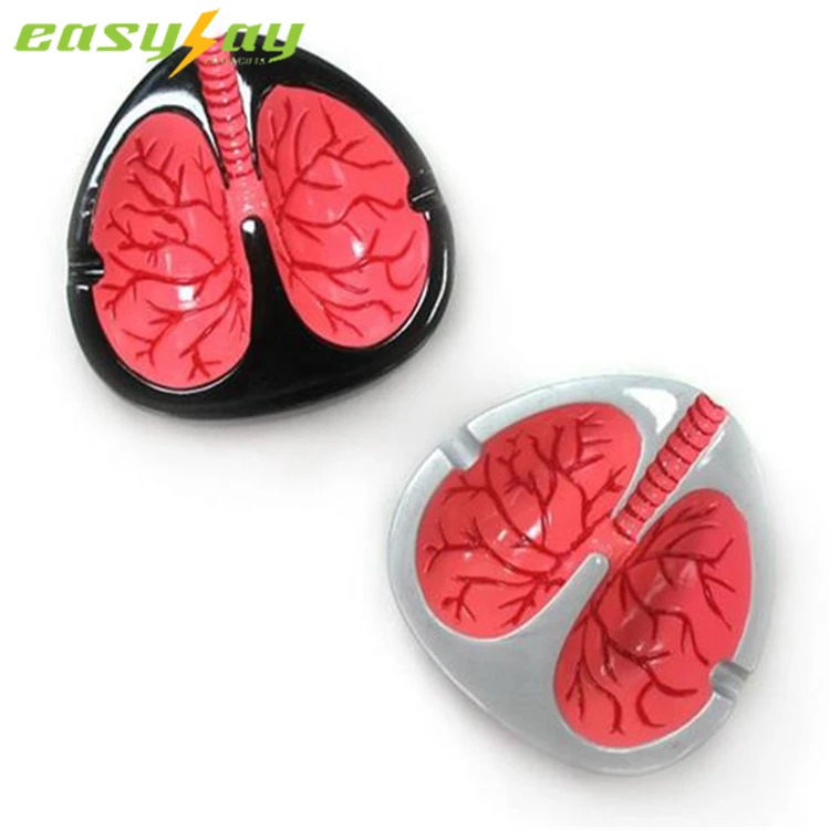 Decorative Ashtrays For Outside Melamineplastic Lung Ashtray