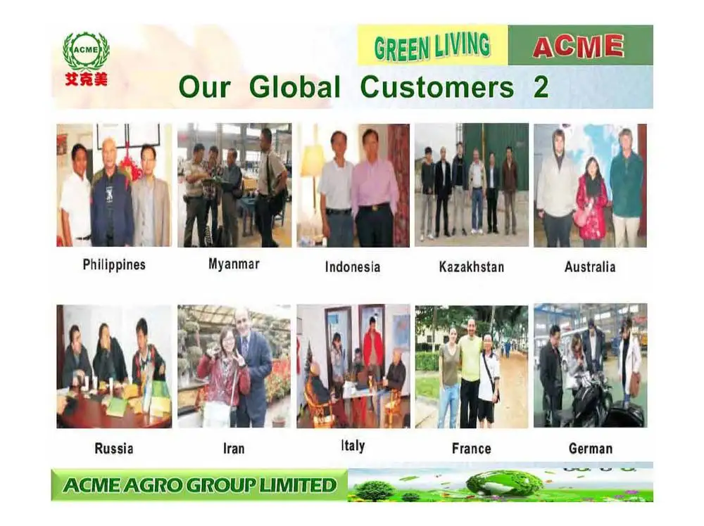 ACME BRIEF2015__81.jpg