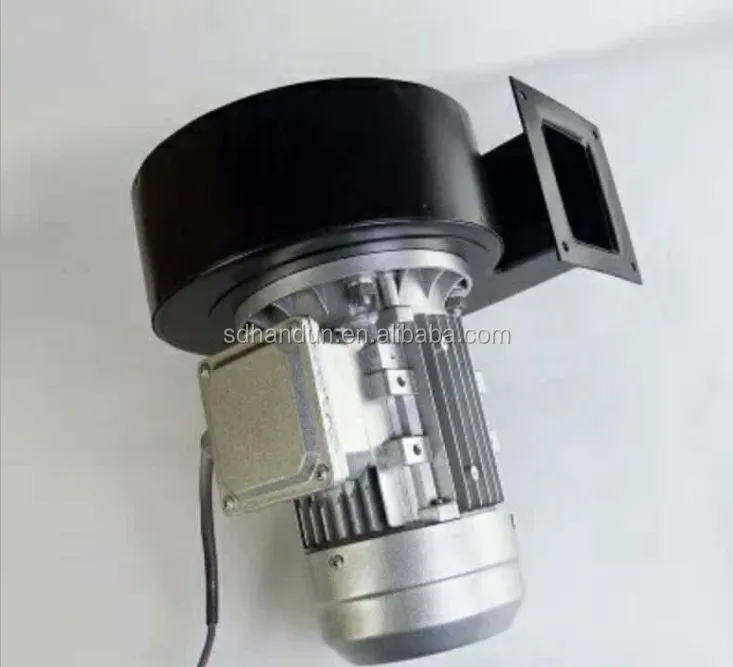 DF Fan 1 (5).JPG