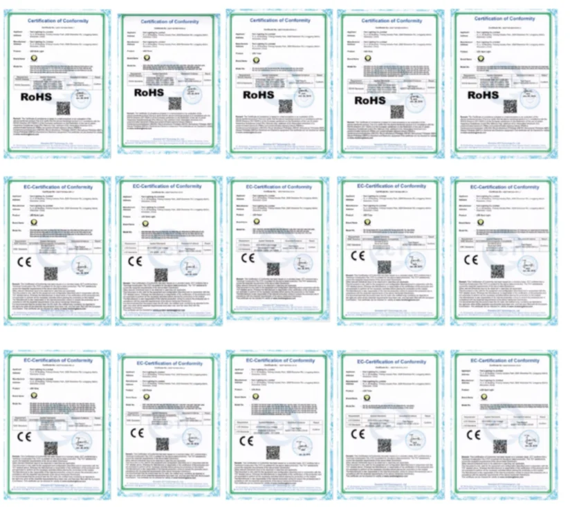 certificate feni.png