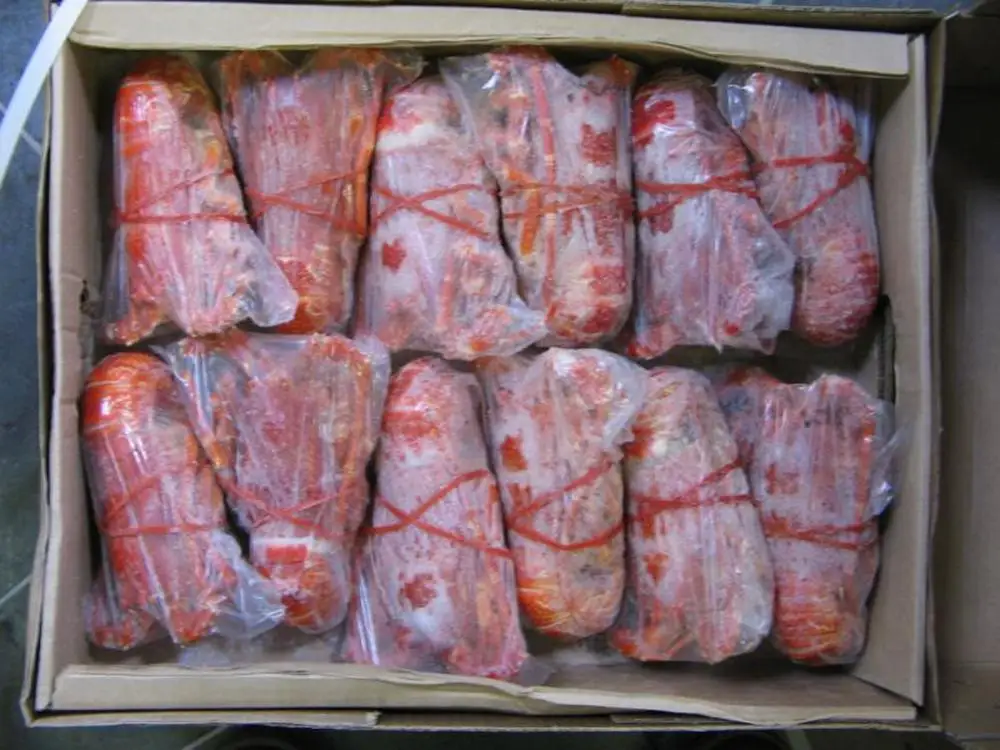 
Rock Lobster (South Africa, Australia, New Zealand, Mexico) 