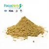 FocusHerb Siberian Ginseng P.E , 20:1 Siberian Ginseng Extract