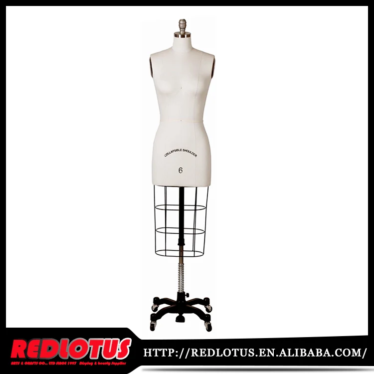 

Display universal multidimensional mannequin, Picture