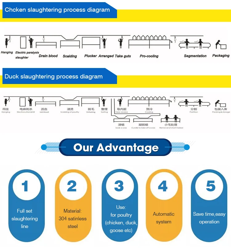 2020 sell well poultry slaughterhouse equipment chicken slaughtering line
