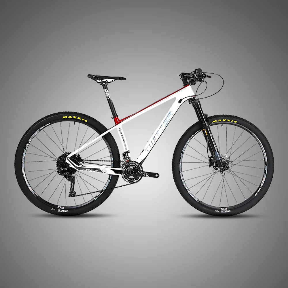 

High quality 29er NX 12 speed carbon bicycle mountain bike with DT fork, N/a