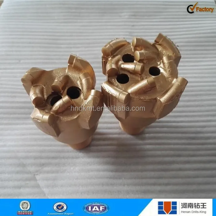 FANG004_conew1.jpg