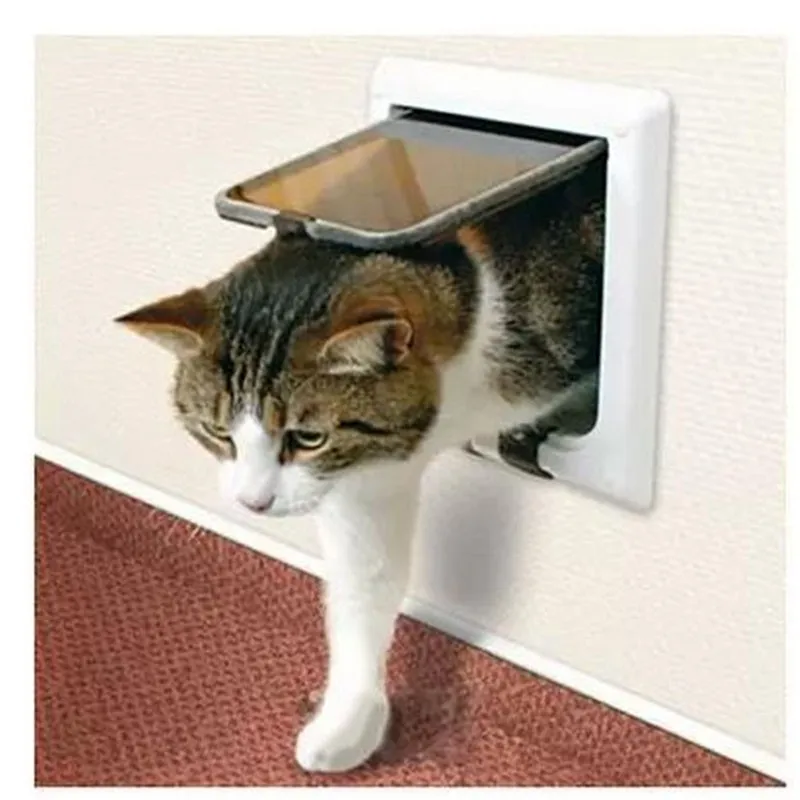 Зачем коты постоянно просят открыть дверь, но не заходят в неё? Это манипуляция!