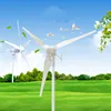 600W Small Wind Generator/Wind Turbine /Wind Mill for Home Use