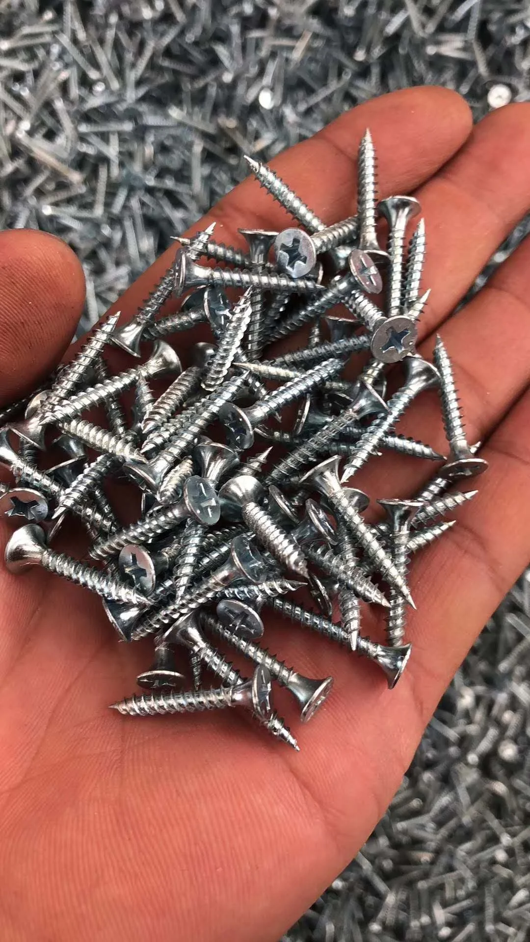 
Collated Drywall Screw 