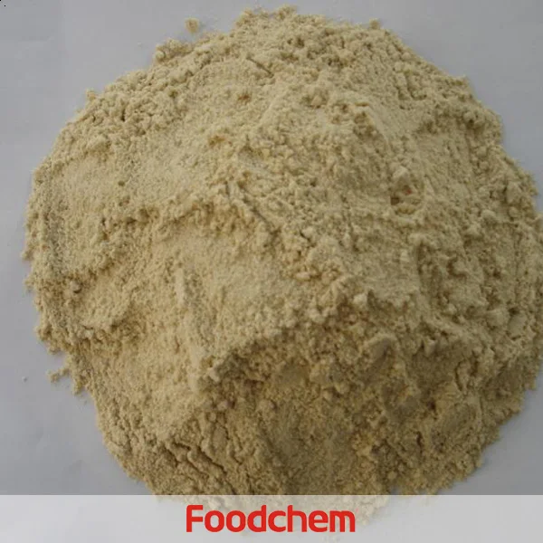 
China Dried Vital Wheat Gluten Flour 