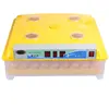 Automatic chicken hatchery machine price in SA Market