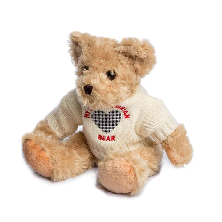 teddy bear wearing shirt