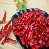 exported well-chosen certificated haccp/halal red cutting sanying chilli