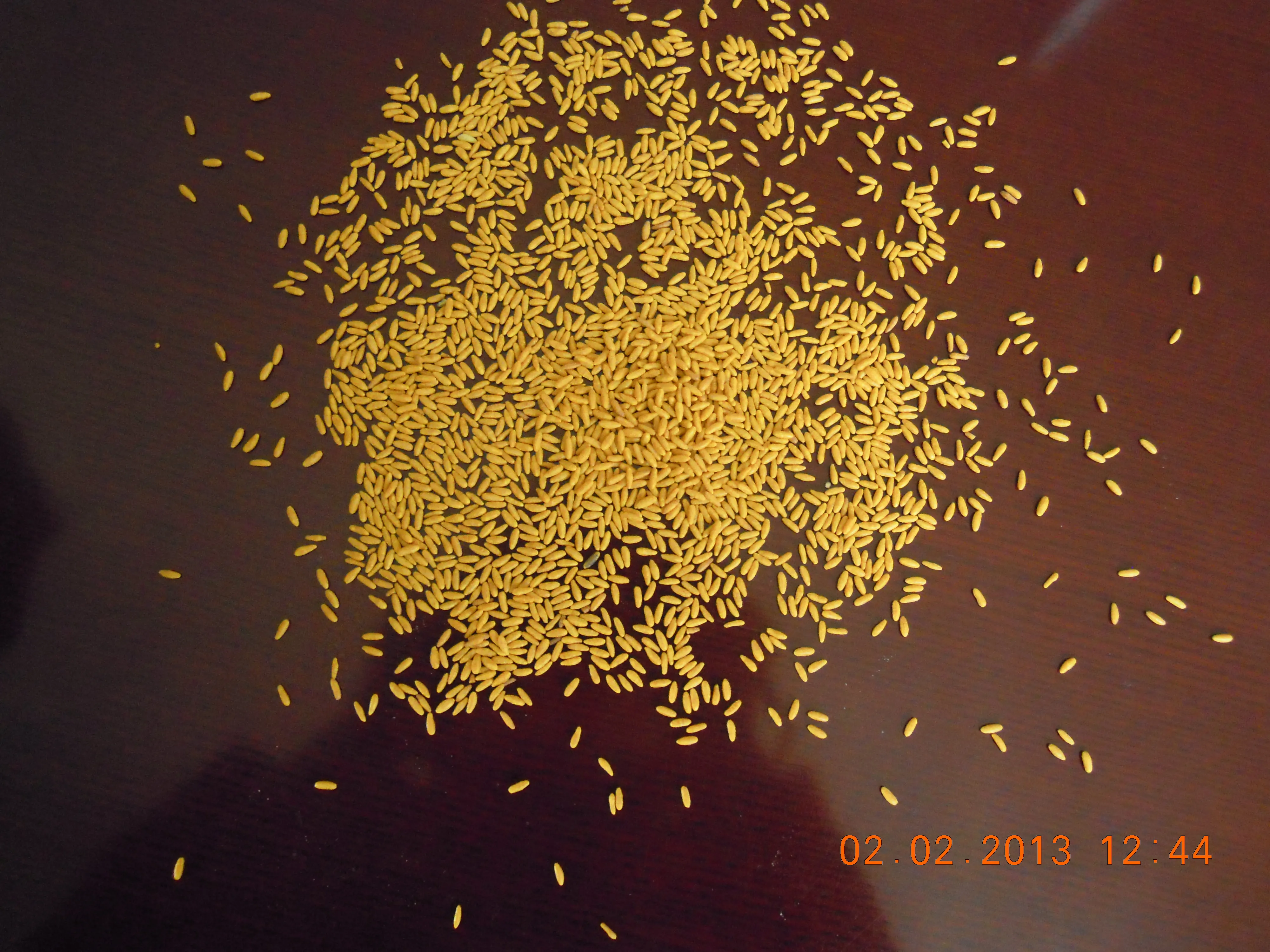 DSCN3894.jpg