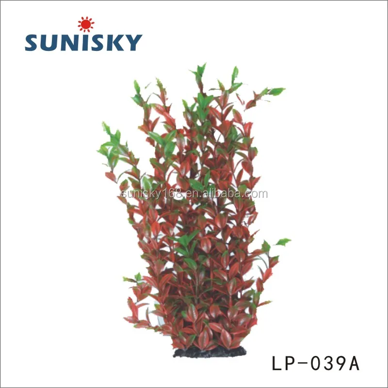 LP-039A.jpg