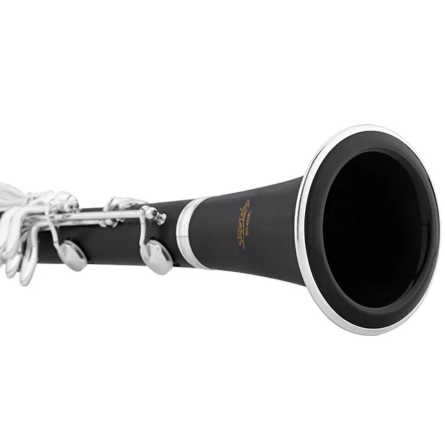 
Accept OEM Dasheng Music DSCL-711 17 Keys Bb Clarinet 