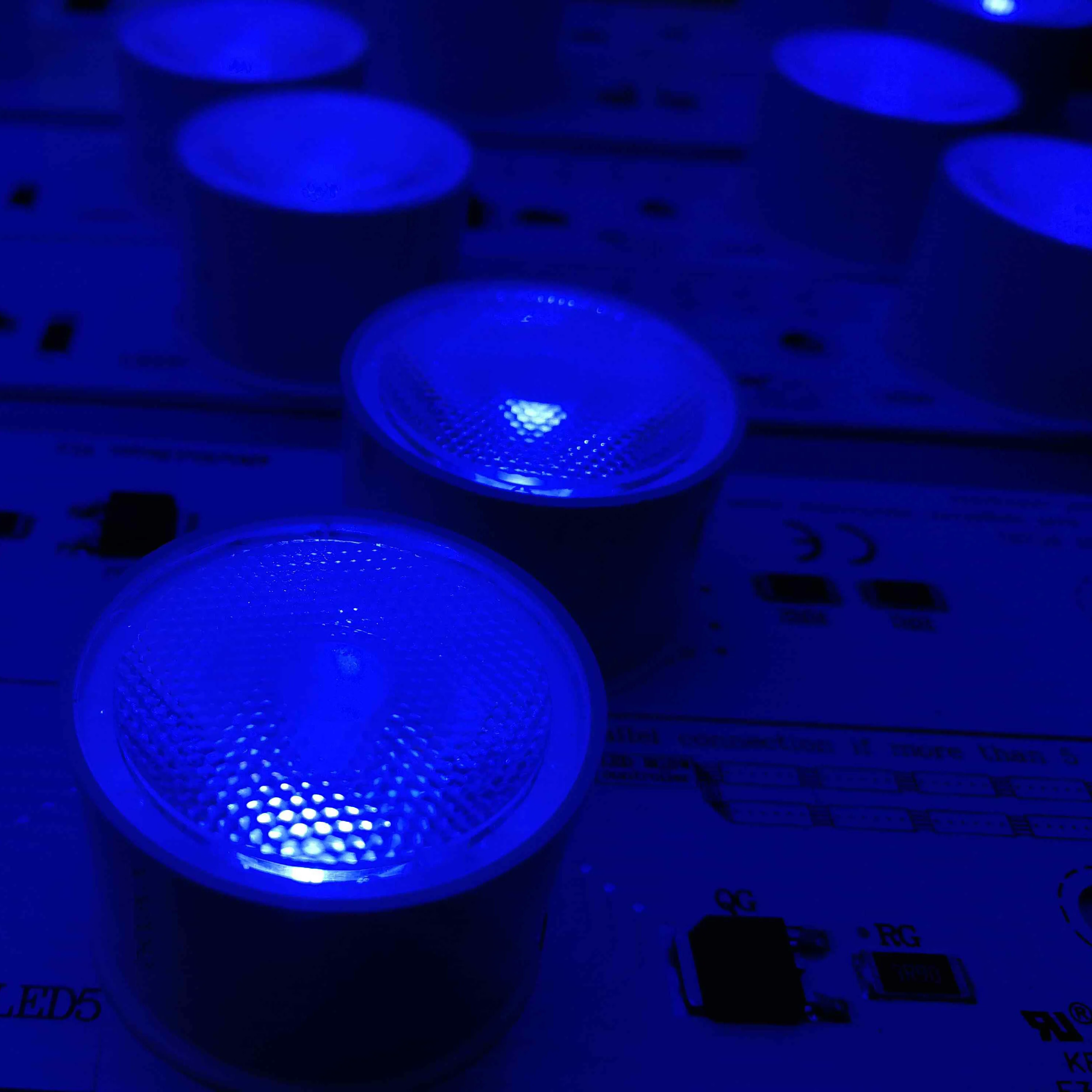 DC24V 32W 1300-1500Lm Home Holiday Decoration 5050 Rgb RGBW RGBWw Pink Ice Blue Red Green 5M Waterproof 12V Led Strip Light Fair