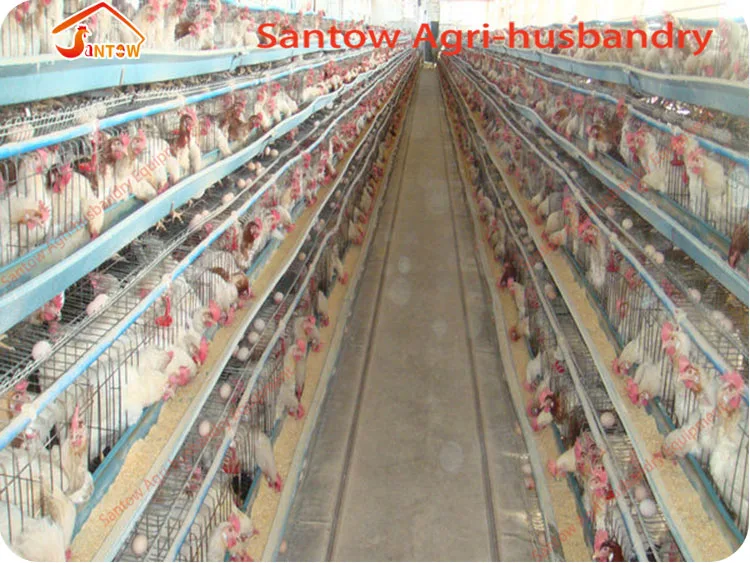 Hot Galvanized Chicken Poultry Cages Cold Galvanized Chicken Layer Cage Best Quality For Sale Nigeria Africa