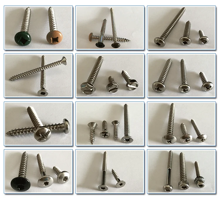 Ss 304 Ss 316 M14 M12 M8 M6 M10 Self Tapping Screw Buy M10 Self