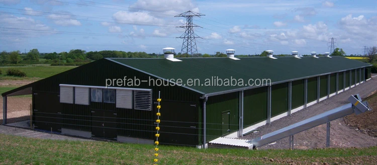 Prefabricated poultry house design for layers in kenya farm