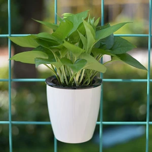 Image of Lazy Flower Pots Automatic Water-absorbing Green Radish Meat Pills Hydroponics Wall-hung Circular Resin Plastic Flower Pots