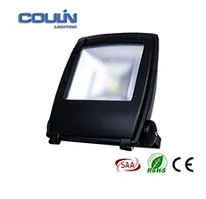 10 watts 100 watts Ultrathin LED Floodlight