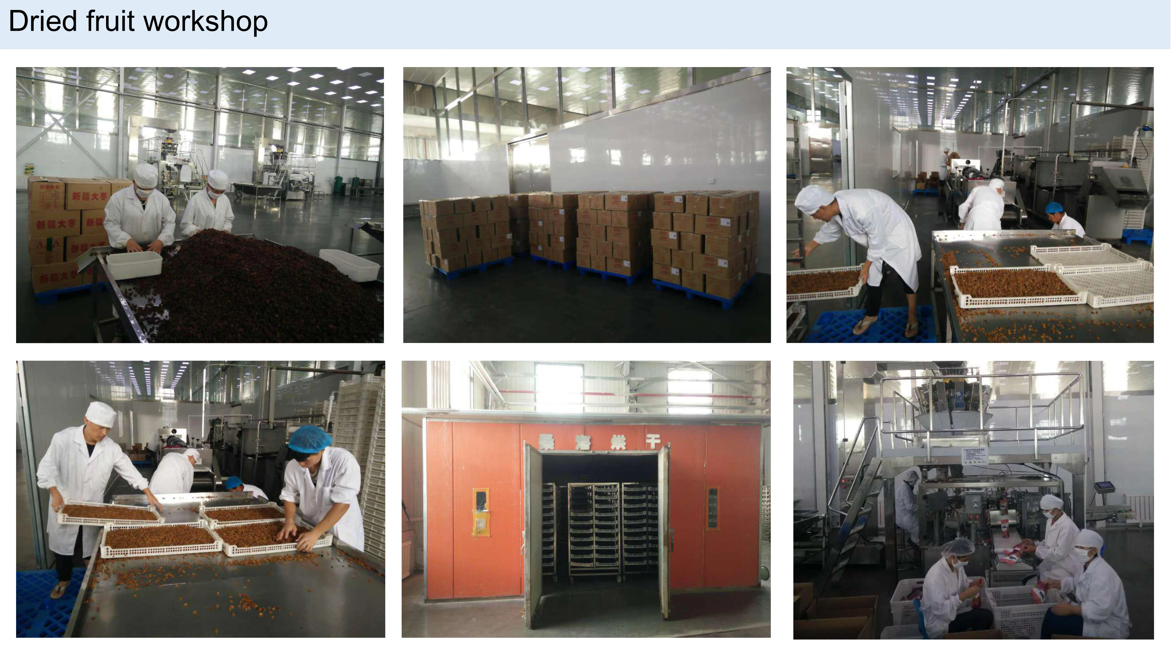 china xinjiang green sultanas seedless raisins