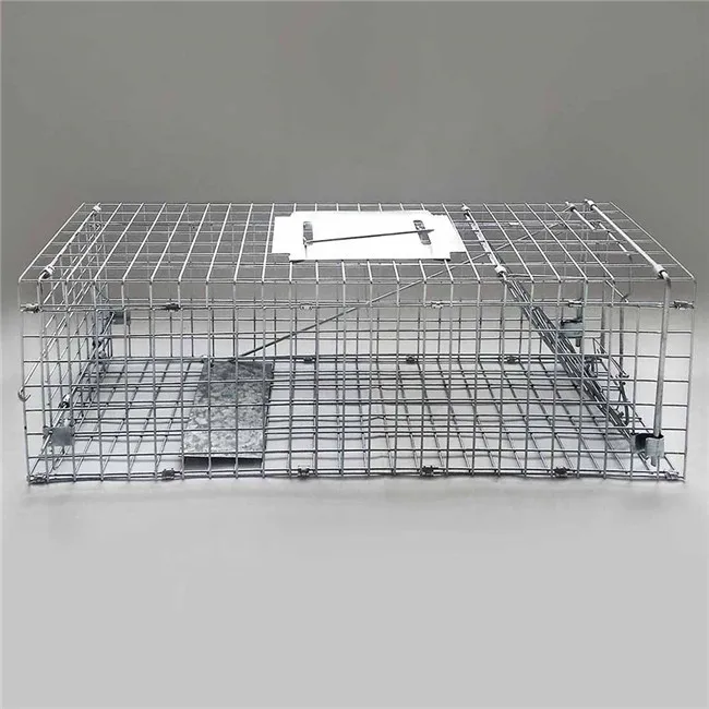 Live Catch Rabbit Cage Animal Trap Cages Buy Animal Control Catch
