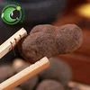 Lei Wan GMP Factory Supply Crude Medicine Natural Stone-Like Omphalia In Bulk