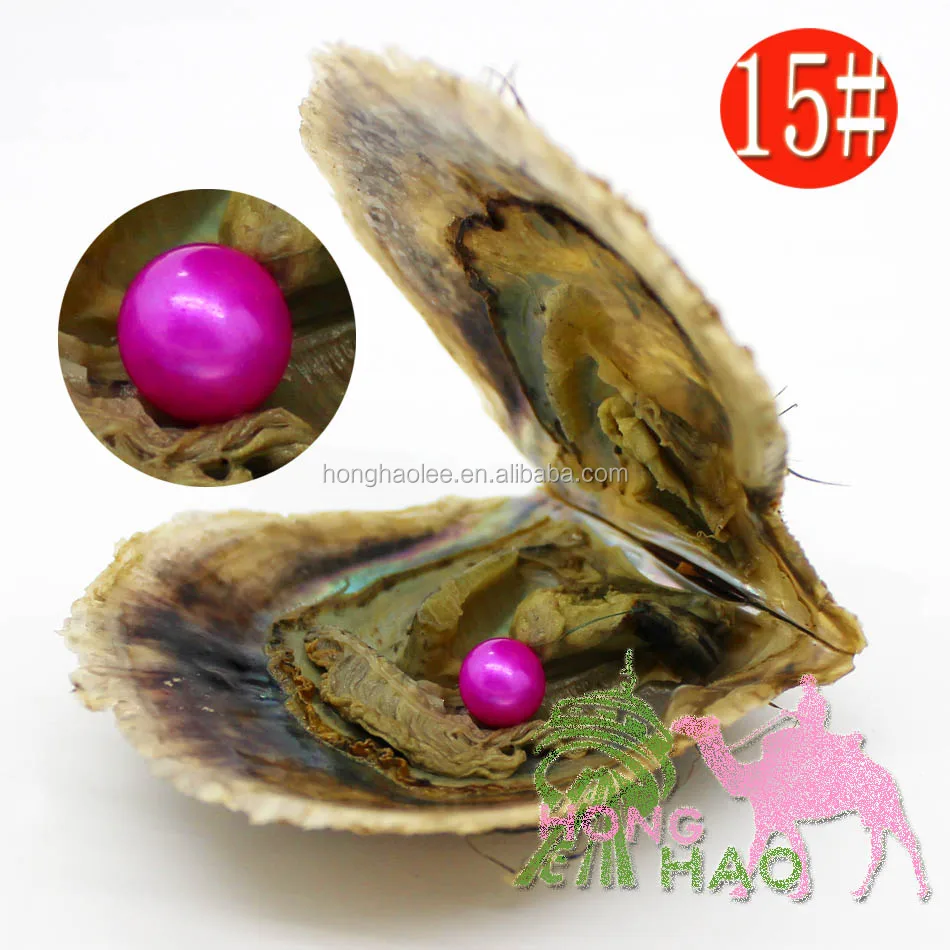 

AAAA grade 6-7mm color #15 vacuum packed oysters akoya pearl oyster saltwater pearl oyster many colours stock free shipping, N/a