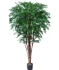72'' Twotone green Ming Aralia Tree